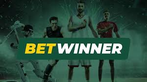 BetWinner Bookmaker A Comprehensive Guide to Online Betting