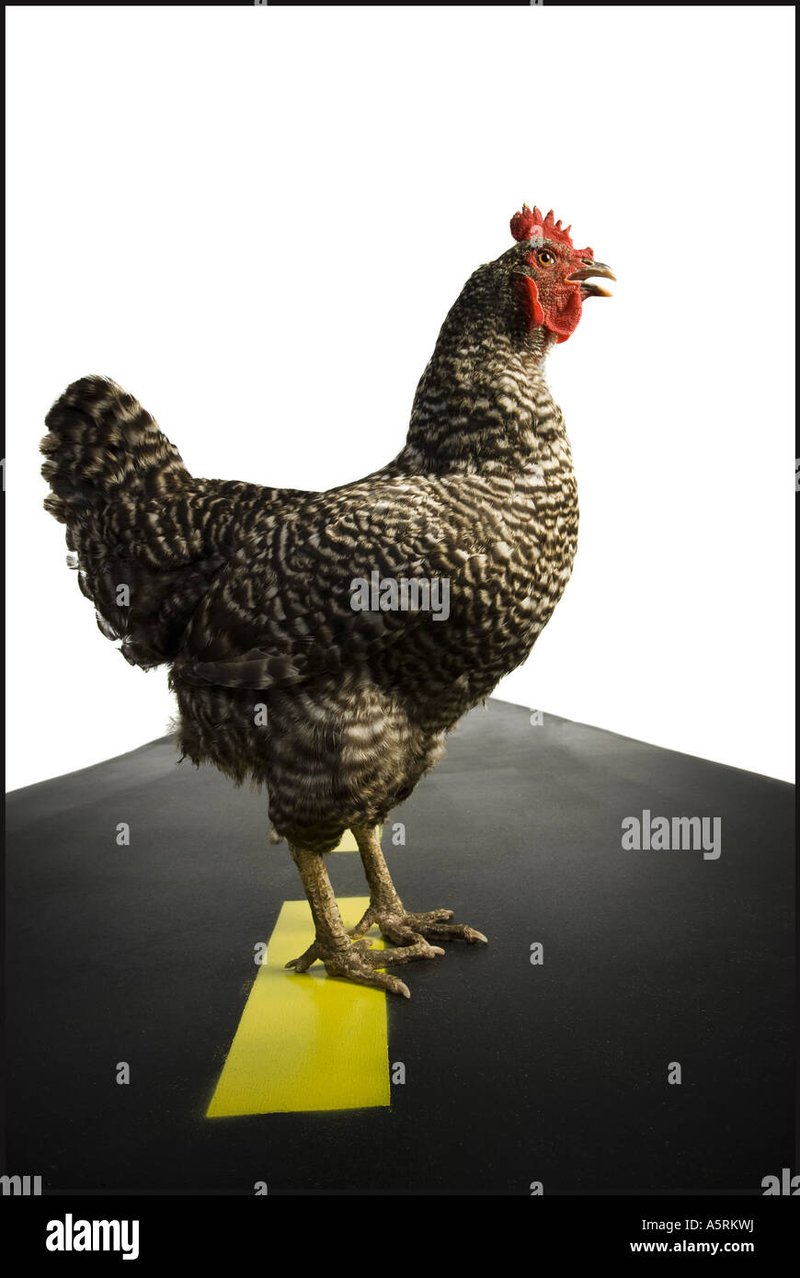 Chicken road online in Spain